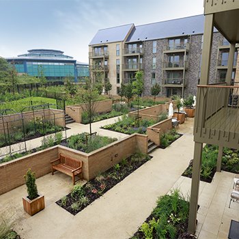The garden at The Brambles